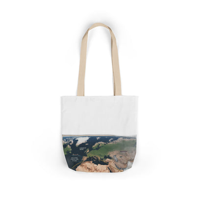 $4 Million Panama Tote