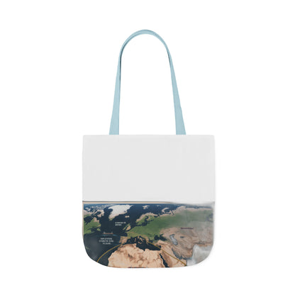 $4 Million Panama Tote