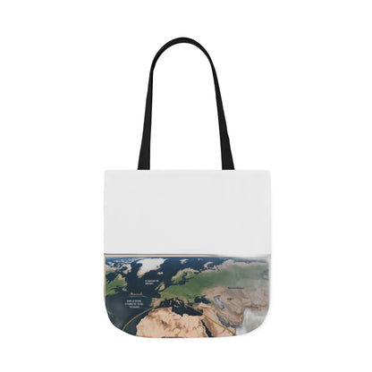 $4 Million Panama Tote