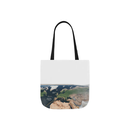 $4 Million Panama Tote