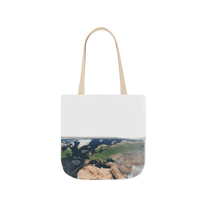 $4 Million Panama Tote
