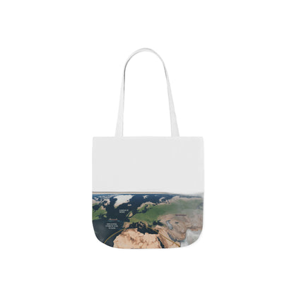 $4 Million Panama Tote