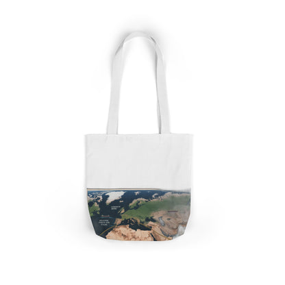 $4 Million Panama Tote