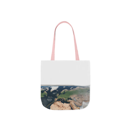 $4 Million Panama Tote