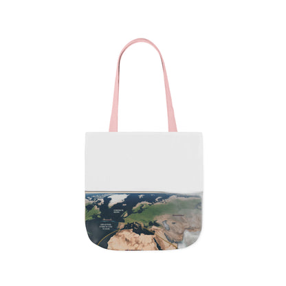 $4 Million Panama Tote