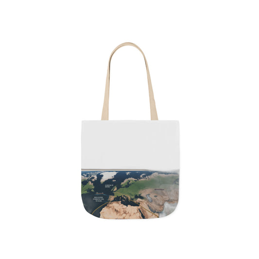 $4 Million Panama Tote